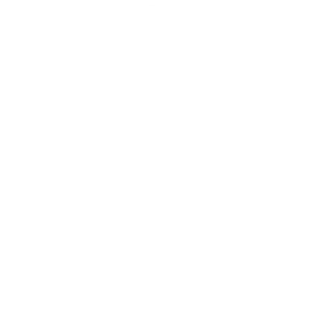 Logo DVS ZERT in weiß und transparent
